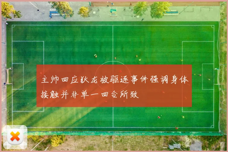 主帅回应狄龙被驱逐事件强调身体接触并非单一回合所致