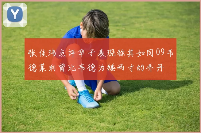 张佳玮点评华子表现称其如同09韦德莱利曾比韦德为矮两寸的乔丹