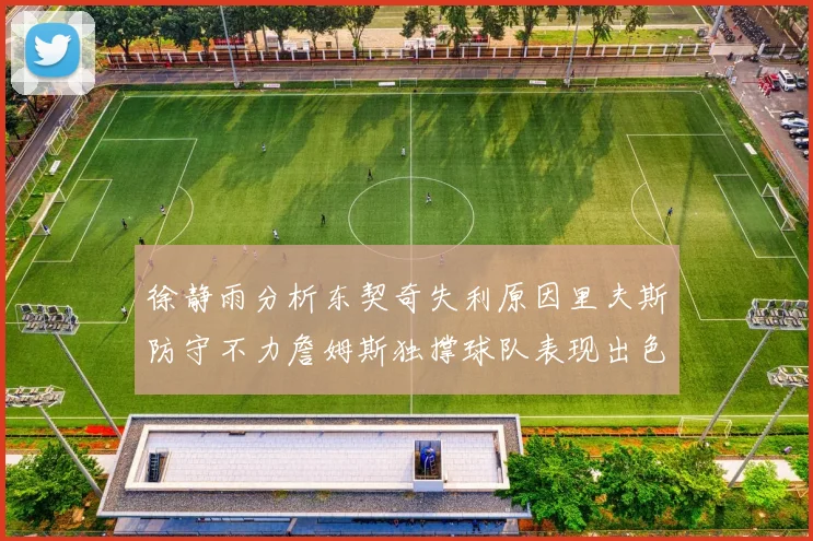 徐静雨分析东契奇失利原因里夫斯防守不力詹姆斯独撑球队表现出色