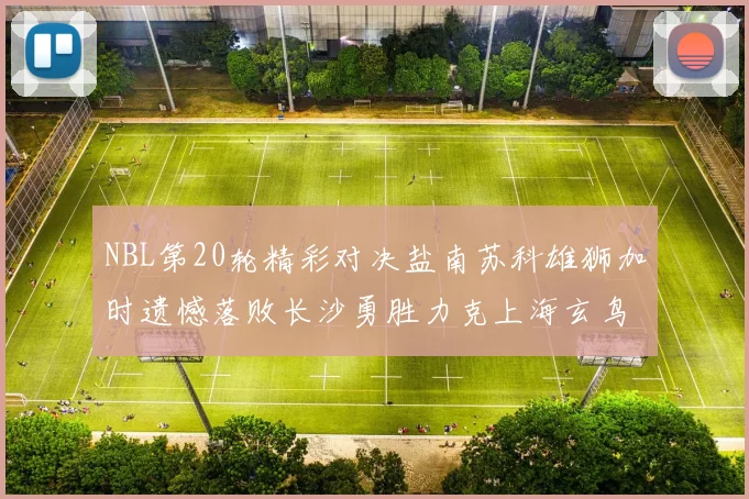 NBL第20轮精彩对决盐南苏科雄狮加时遗憾落败长沙勇胜力克上海玄鸟