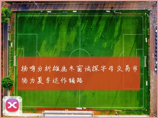 杨鸣分析雄鹿冬窗试探字母交易市场为夏季运作铺路